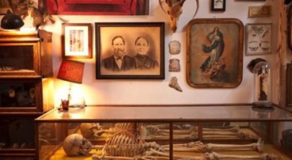 Museo del morbo