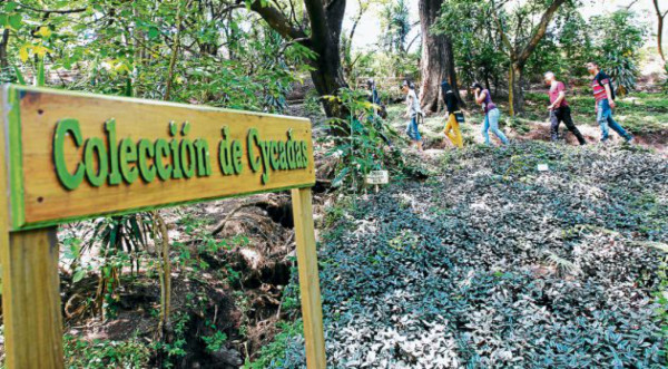 Labor ambiental universitaria