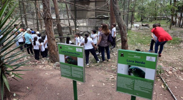Invierten 4.4 millones en nuevas obras del zoológico Rosy Walther