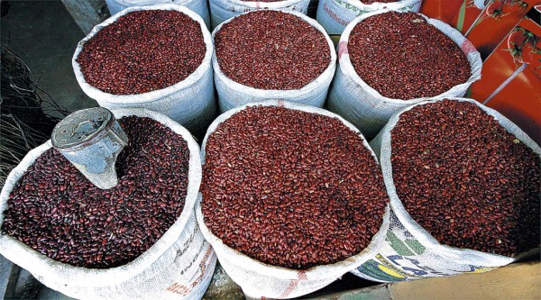 Precios de frijoles se mantienen altos