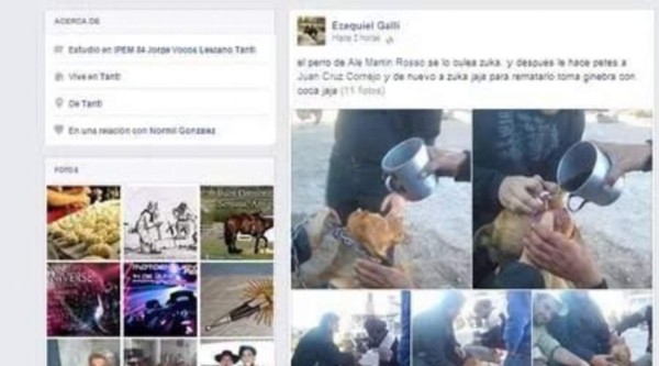 Horror: alcoholizan y violan a perro y lo suben a Facebook