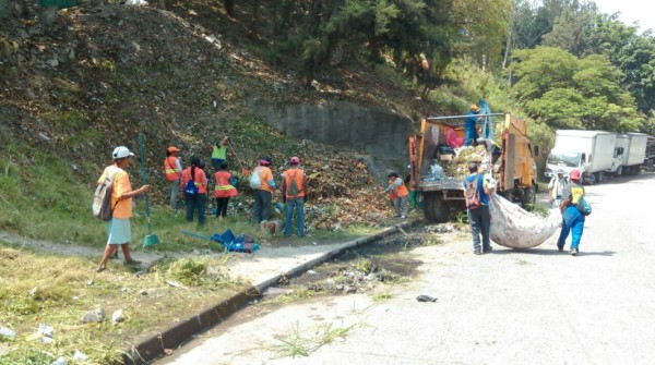 Destruyen criaderos de zancudos en 20 colonias de la capital