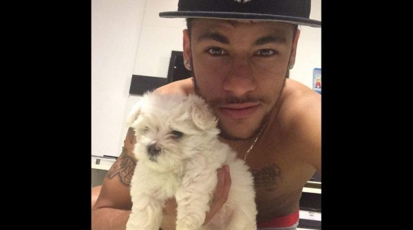 Estas son las peculiares mascotas de los futbolistas más famosos del mundo