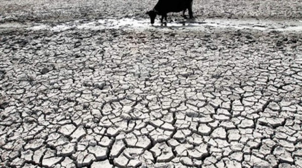 Exorbitante cantidad de muertos por ola de calor