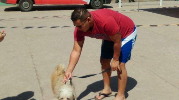 Inicia campaña de vacunación de mascotas en la capital