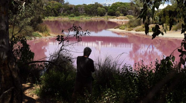 FOTOS: El extraño lago rosado que se ha convertido en un atractivo turístico en Australia