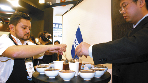 Promocionan café hondureño en UE, Asia y Sudamérica