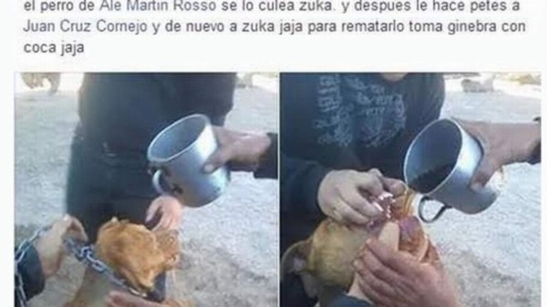Detienen a tres personas por alcoholizar y abusar de un perro y subir las fotos a Facebook