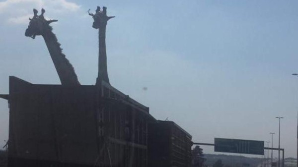 &nbsp;La muerte trágica de una jirafa &nbsp;&nbsp;