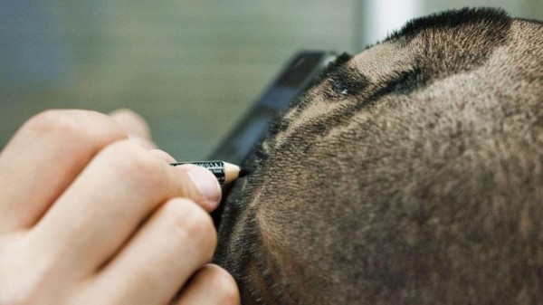 Increíble: fanático se cortó el pelo con la imagen de Lio Messi