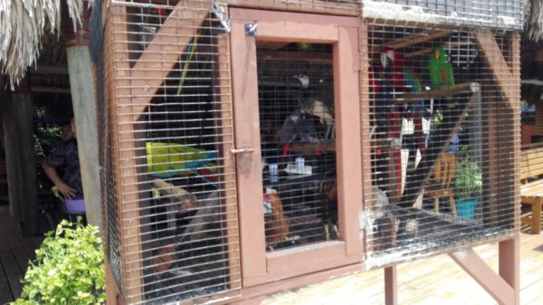 Las imágenes más impactantes del incendio en un centro turístico de Roatán