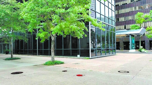 Hondureños preocupados por nueva sede consular ubicada en el mismo edificio de ICE