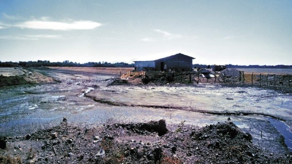 Invasiones de fincas dejan fuera a Ibermar de mercado de EUA