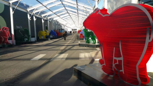 Honduras pedirá apoyo al mundo para enfrentar efectos del cambio climático