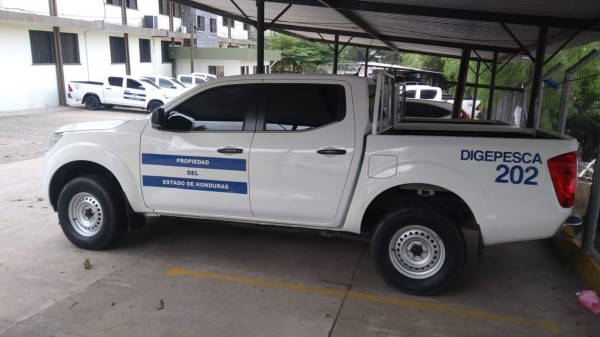 Honduras: Digepesca, socavada por la anarquía y los abusos