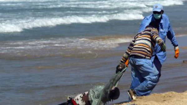 &nbsp;La costa de Libia está inundada de cadáveres