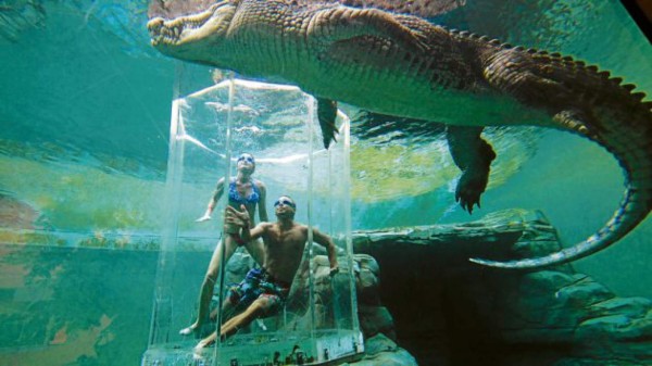 Un parque para interactuar con cocodrilos