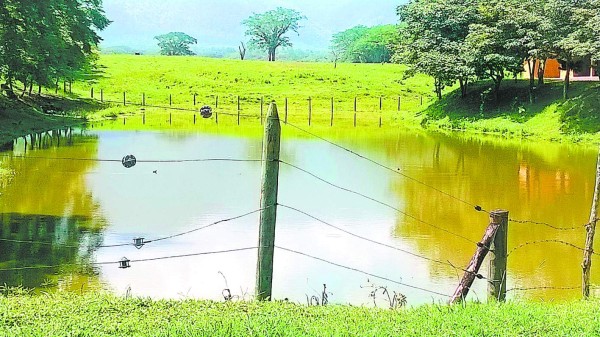 MP investiga venta simulada de propiedades de hijos de Matta