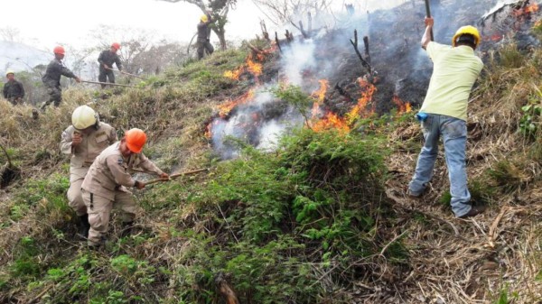 Permanente vigilancia en Biósfera del Río Plátano