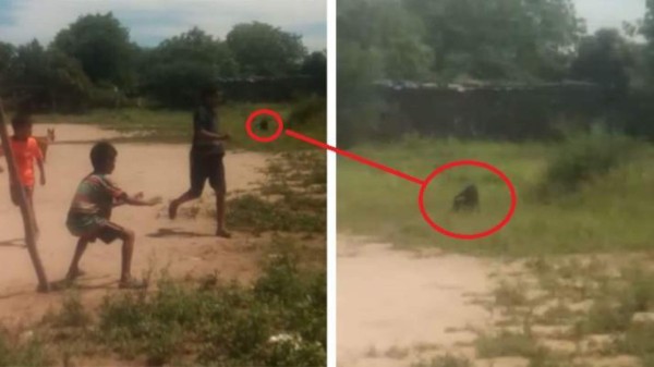 Video: Niños captan espeluzante criatura mientras jugaban fútbol