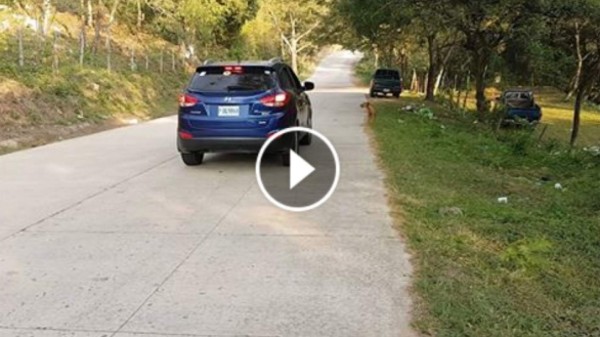 Honduras: Una carretera en Comayagua parece desafiar la gravedad