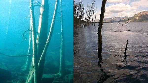 Diez maravillas naturales que parecen de otro planeta &nbsp;&nbsp;&nbsp;