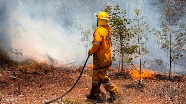 FOTOS: Huevos cocidos, llantas derretidas y animales muertos deja intensa ola de calor en Australia