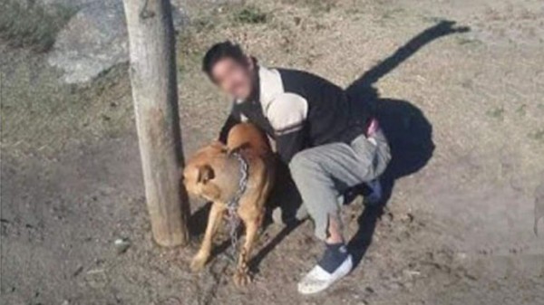 Detienen a tres personas por alcoholizar y abusar de un perro y subir las fotos a Facebook