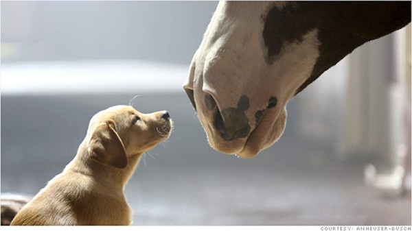El popular anuncio de Budweiser para el Super Bowl 2014