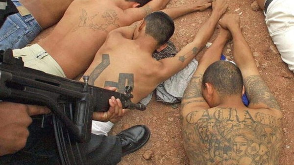 Grupo advierte que hará cacería de mareros en Honduras