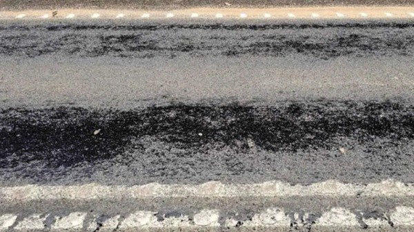 FOTOS: Huevos cocidos, llantas derretidas y animales muertos deja intensa ola de calor en Australia