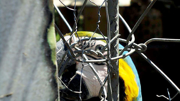EL HERALDO te premia en el Día de la Tierra