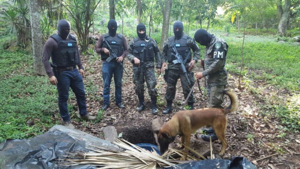 Choluteca: Decomisan más de 204 libras de marihuana enterradas en una caleta