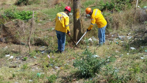 Protegen postes para evitar daños en época de incendios
