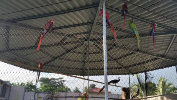 Honduras: Alcalde de Yoro y familia, vinculados al narcotráfico