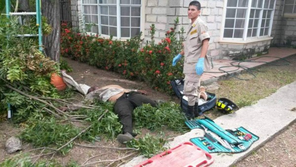 Muere obrero al caerse de un árbol en Comayagua