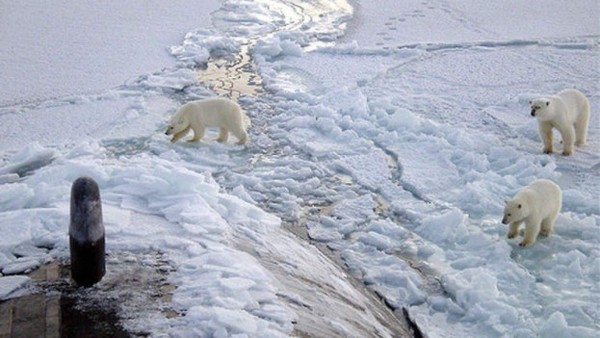 Inusual clima en el Ártico con 20 grados menos de lo habitual&nbsp; &nbsp;&nbsp;