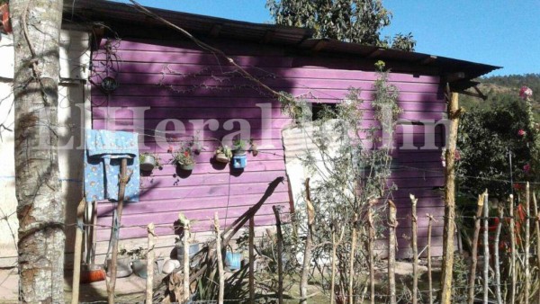 Anuncian intervención en colonia Los Pinos, Tegucigalpa, tras alta incidencia delictiva &nbsp;