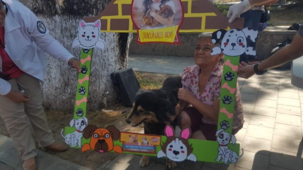 Así inició la jornada de vacunación de perros y gatos en Honduras