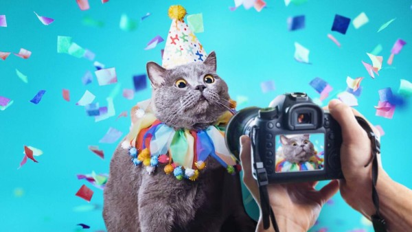 Películas, series y documentales: Los estrenos de Netflix para abril 2021