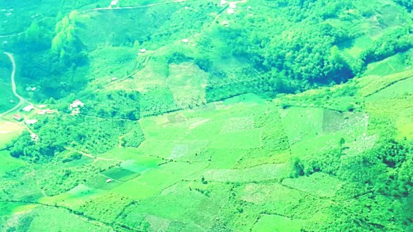 Honduras: Detectan descombros en Panacam y en el Lago de Yojoa