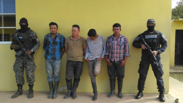 Capturan banda dedicada al robo de ganado en Catacamas, Olancho