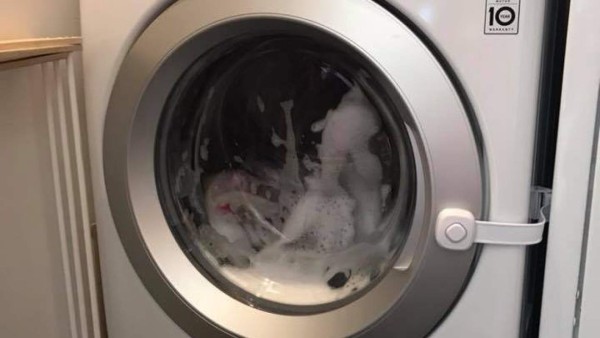 Un insólito museo invita a escudriñar el cerebro humano