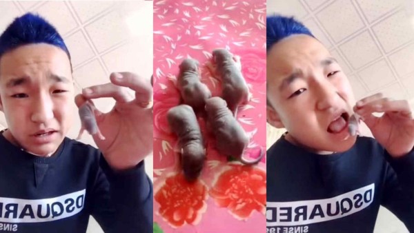 Joven se filma intentado comerse un ratón y no es lo único que hizo