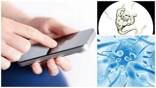 Nuevo dispositivo para smartphone puede analizar la calidad del esperma&nbsp;