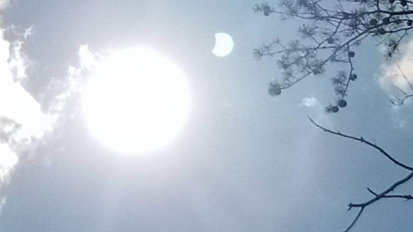 Así vivieron el eclipse solar los hondureños en Estados Unidos y el resto del mundo