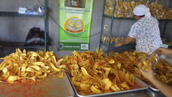 Con respaldo internacional operan microempresas