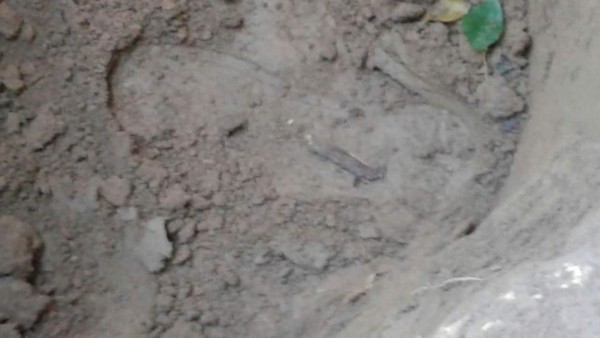 Capturan banda criminal cuando se disponían a matar a dos personas raptadas