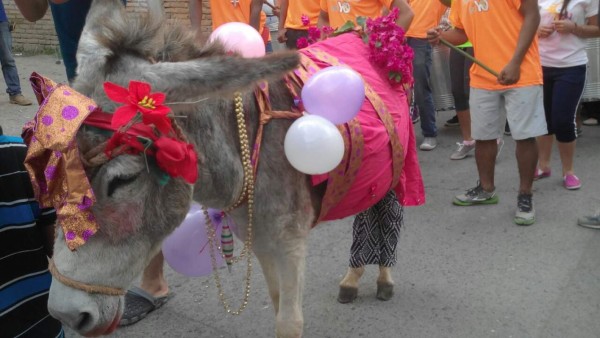 Honduras: La caravana de las tradiciones recorre Comayagua