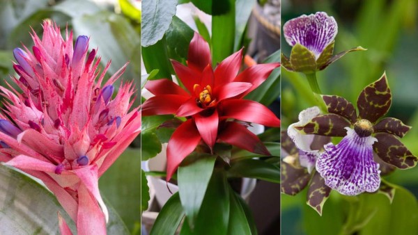 Los 10 villanos del 2020